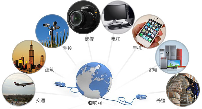 &#30343;&#20896;